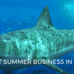 SHARKS IMPACT SUMMER BUSINESS IN SOUTHERN CALIFORNIA
