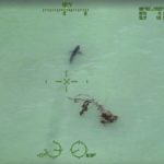 Helicopter Crew Warns Paddleboarders They’re ‘Next to Approximately 15 Great White Sharks’