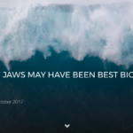 JAMIE MITCHELL: JAWS MAY HAVE BEEN BEST BIG WAVE EVENT EVER